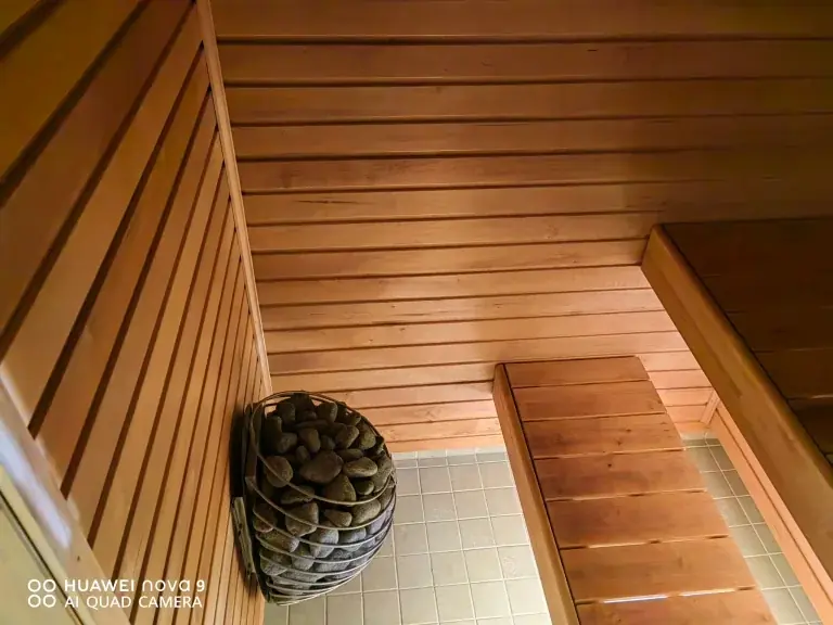 Sauna interior and benches